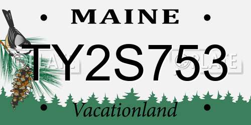 TY2S753 Maine License Plate