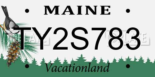 TY2S783 Maine License Plate