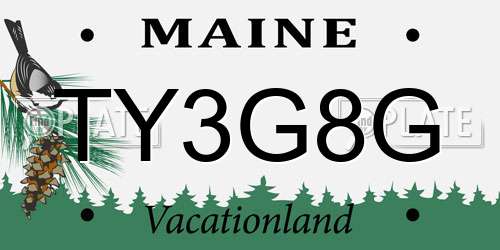 TY3G8G Maine License Plate