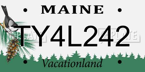TY4L242 Maine License Plate