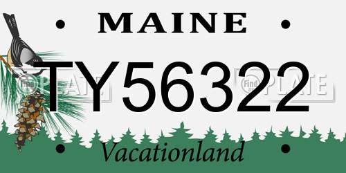 TY56322 Maine License Plate