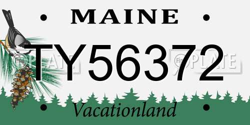 TY56372 Maine License Plate