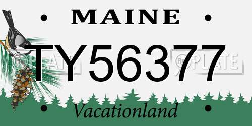 TY56377 Maine License Plate
