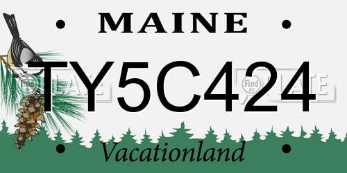 TY5C424 Maine License Plate