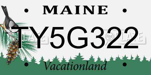 TY5G322 Maine License Plate