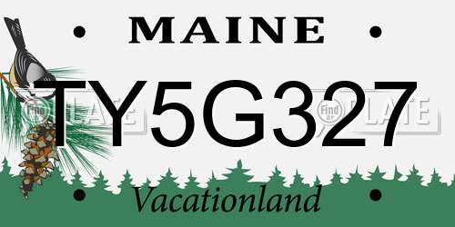 TY5G327 Maine License Plate