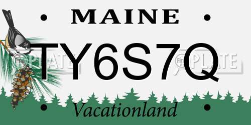 TY6S7Q Maine License Plate