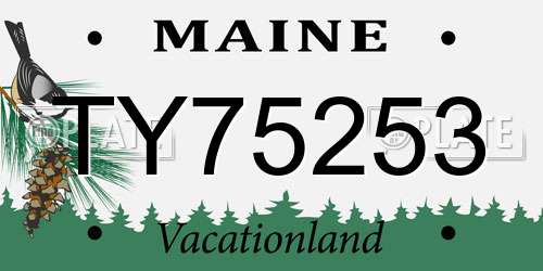TY75253 Maine License Plate