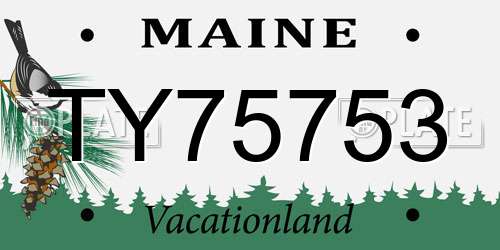 TY75753 Maine License Plate