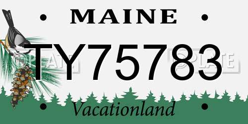 TY75783 Maine License Plate