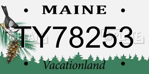 TY78253 Maine License Plate