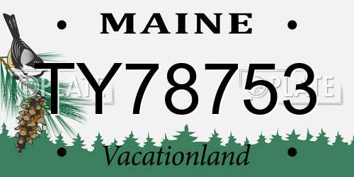 TY78753 Maine License Plate