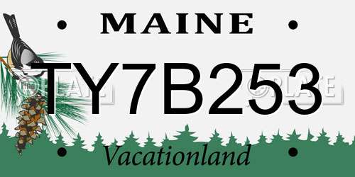 TY7B253 Maine License Plate
