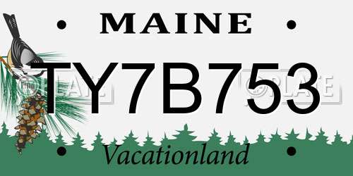 TY7B753 Maine License Plate