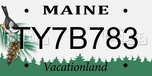 TY7B783 Maine License Plate