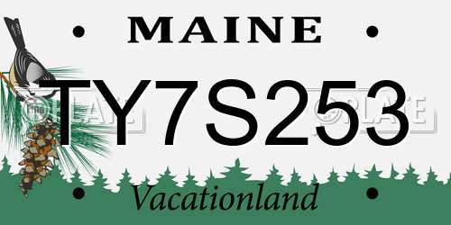 TY7S253 Maine License Plate