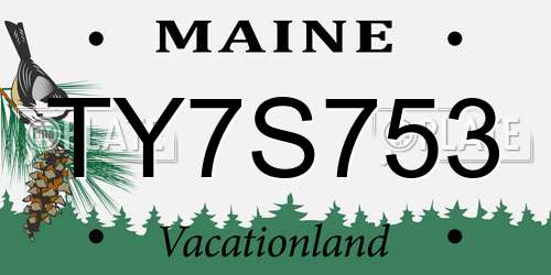 TY7S753 Maine License Plate