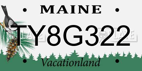 TY8G322 Maine License Plate