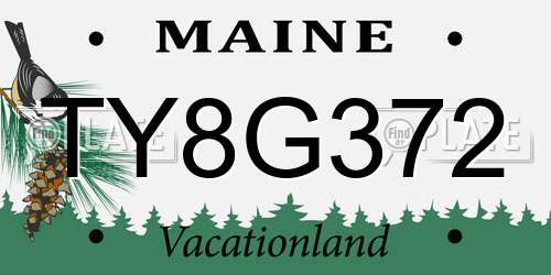 TY8G372 Maine License Plate