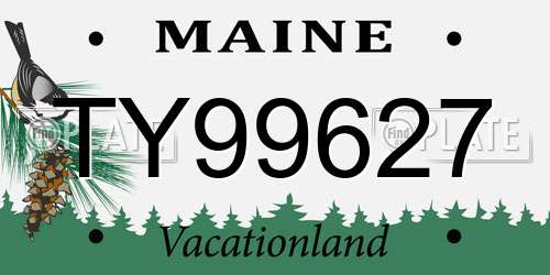 TY99627 Maine License Plate