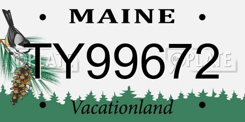 TY99672 Maine License Plate