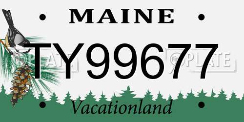 TY99677 Maine License Plate