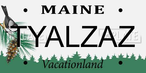 TYALZAZ Maine License Plate