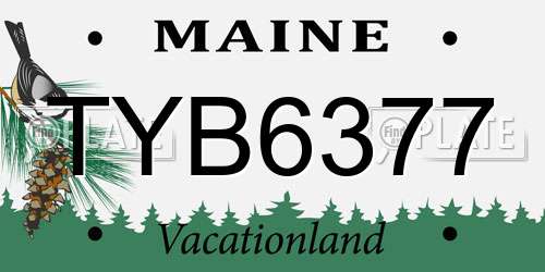 TYB6377 Maine License Plate
