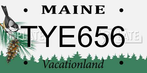 TYE656 Maine License Plate