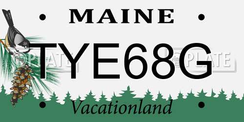 TYE68G Maine License Plate