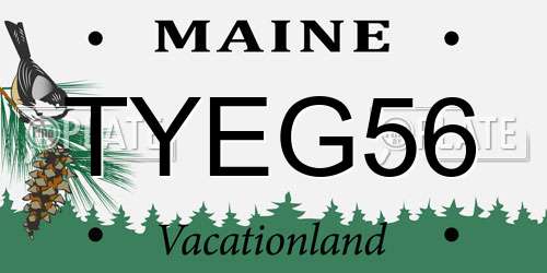 TYEG56 Maine License Plate