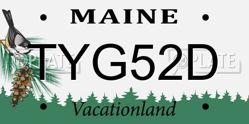 TYG52D Maine License Plate
