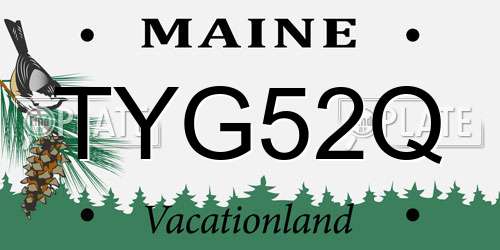 TYG52Q Maine License Plate