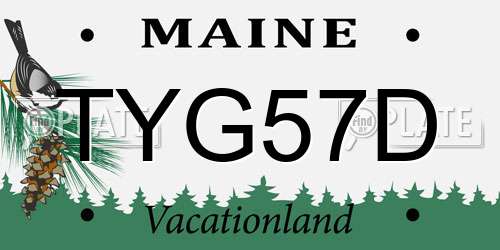TYG57D Maine License Plate