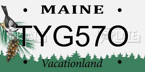 TYG57O Maine License Plate
