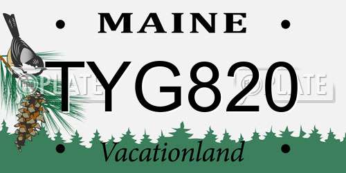 TYG820 Maine License Plate