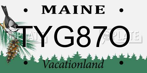 TYG87O Maine License Plate