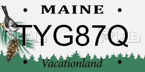 TYG87Q Maine License Plate