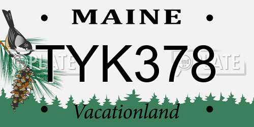 TYK378 Maine License Plate