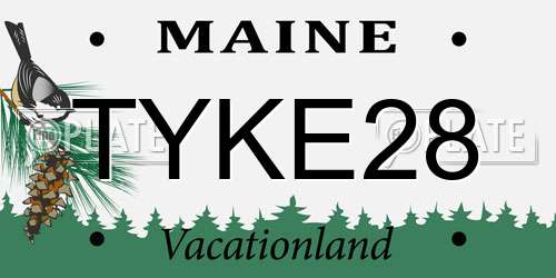 TYKE28 Maine License Plate