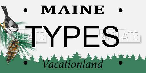 TYPES Maine License Plate