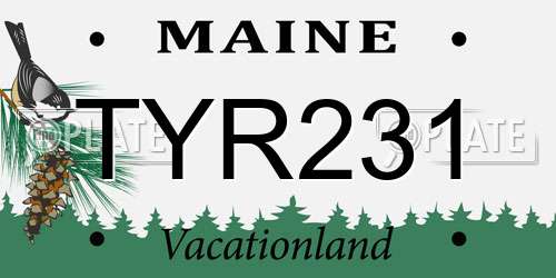 TYR231 Maine License Plate