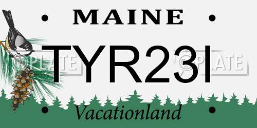 TYR23I Maine License Plate