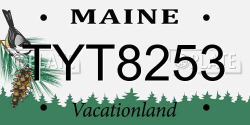 TYT8253 Maine License Plate