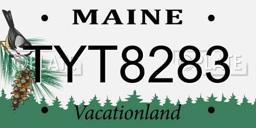 TYT8283 Maine License Plate