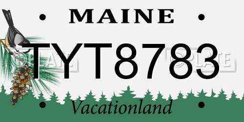 TYT8783 Maine License Plate
