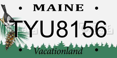 TYU8156 Maine License Plate