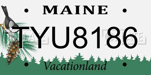 TYU8186 Maine License Plate