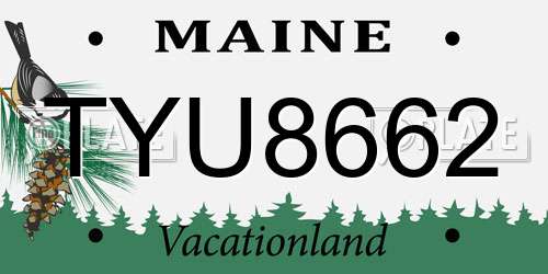 TYU8662 Maine License Plate