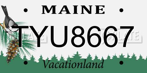 TYU8667 Maine License Plate